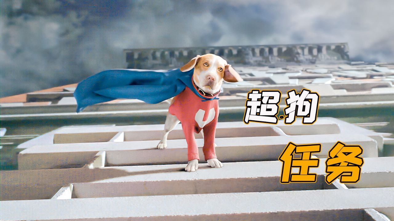 小狗意外获得超能力,携手哈士奇军团,大败坏博士《超狗任务》