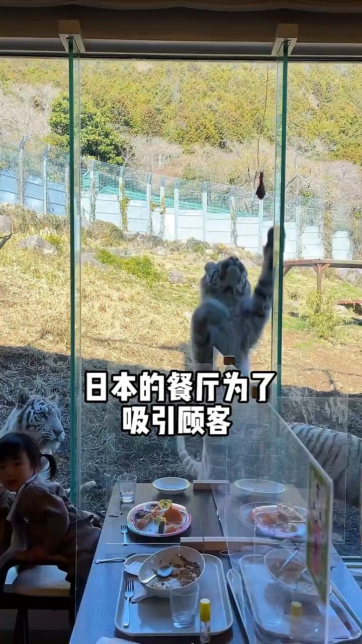日本动物园太奇怪了!居然开在餐厅里?