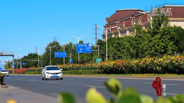 千城百县看中国|北京顺义:月季“花路”扮靓北京