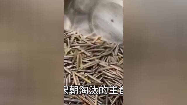 在国外被当做宝贝的菰米,为何被我国宋朝淘汰?#知识分享