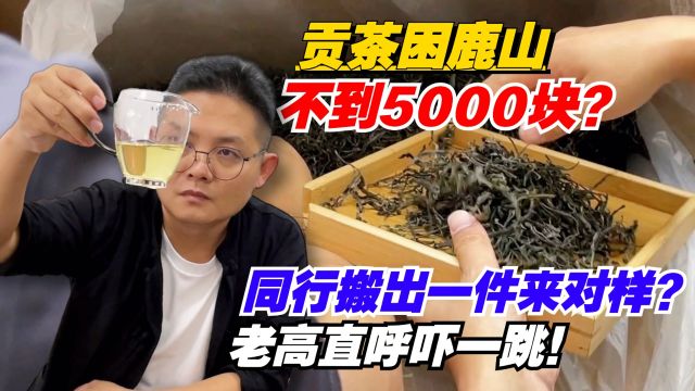 贡茶困鹿山不到5000块?同行搬出一件来对样?老高直呼吓一跳!