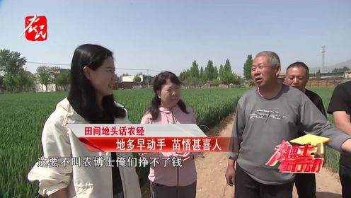 科技助农 | 地多早动手 苗青甚喜人