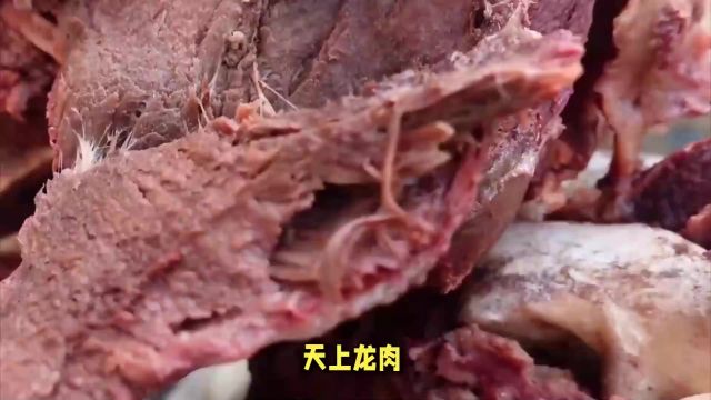 驴肉好吃,驴奶营养丰富,驴皮可以做阿胶,为什么不大范围养驴?