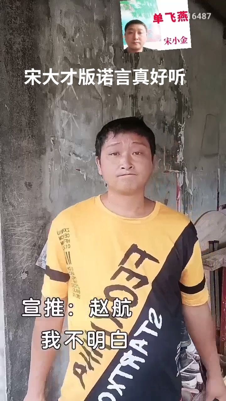 宋大才版诺言真好听