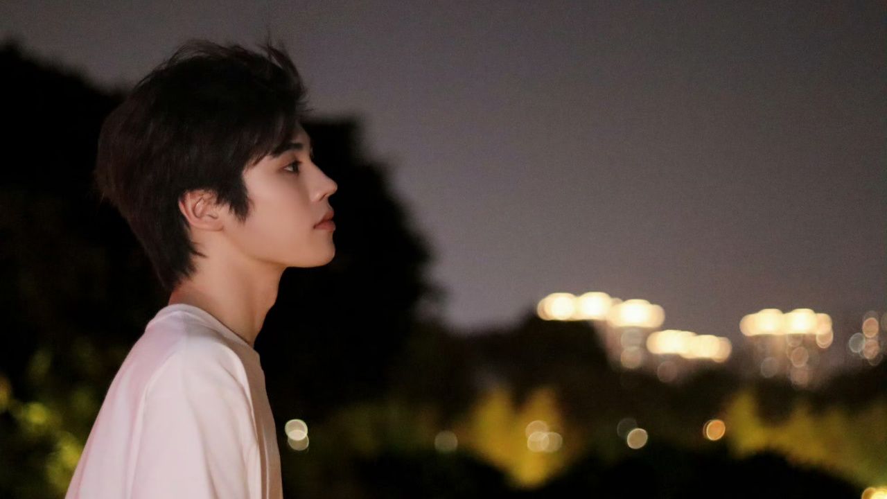 四个人看烟花憧憬着未来,只有姚景元一个人悄悄的告了别