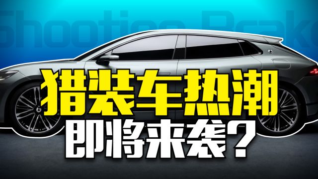 平民开瓦罐,贵族玩猎装!国内车企为什么扎堆推出猎装车?