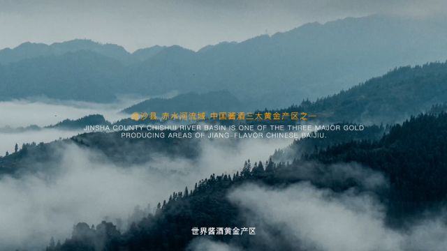 金沙酒业企业tvc