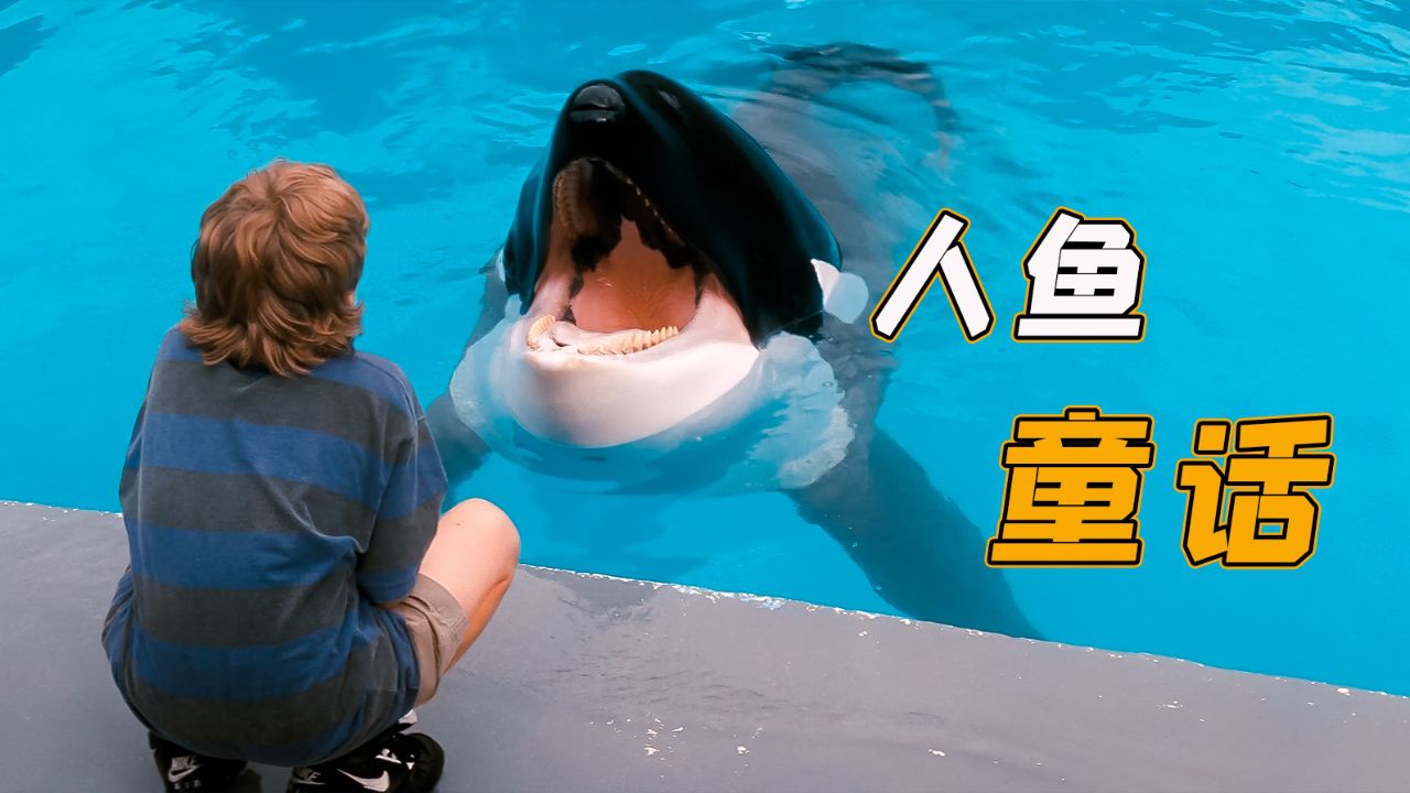 小男孩驯服了一头鲸鱼,还和它成为了好朋友,并帮助鲸鱼逃回大海