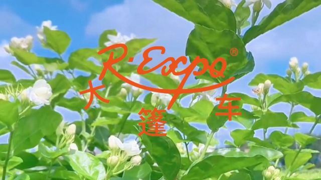 印度茉莉原精 | 被誉为“花中之王” 象征希望 幸福与爱