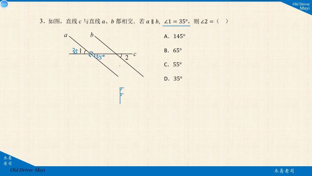 3中考平行线性质结合对顶角快速锁定正确选项