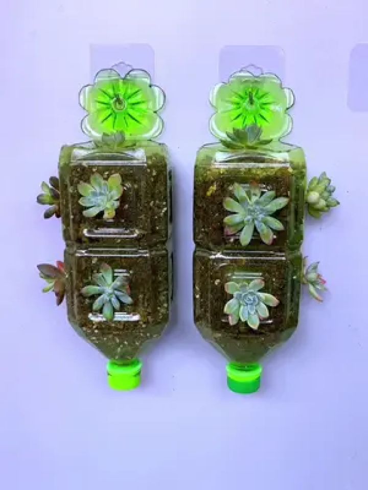 饮料瓶变废为宝做花盆 #变废为宝 #手工 #自制花盆 #手工diy #塑料瓶