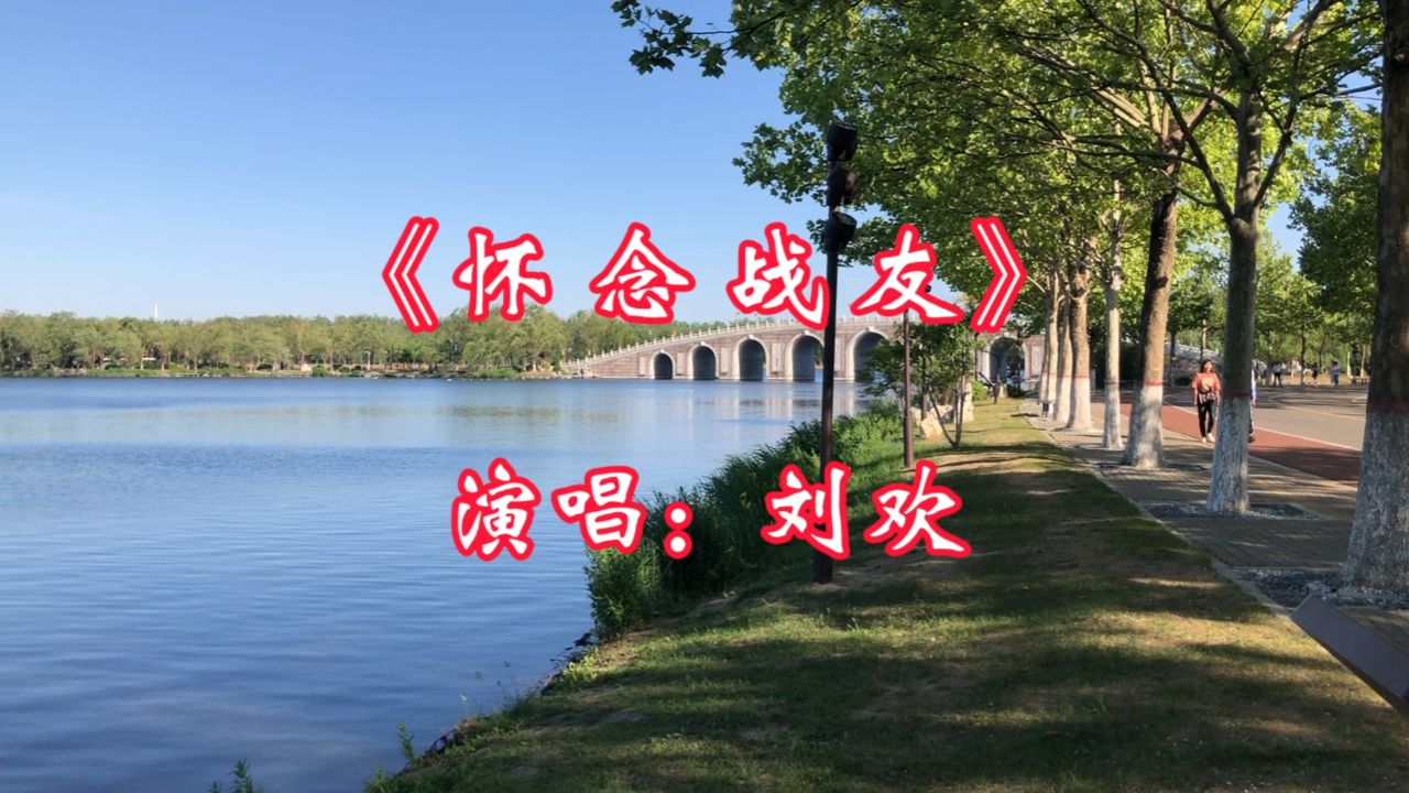 经典歌曲《怀念战友》,刘欢深情演唱,感人肺腑