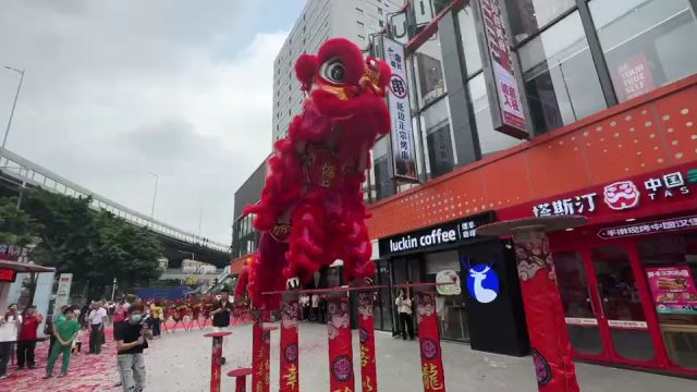 广州协艺龙狮团 梅花桩开业舞狮表演