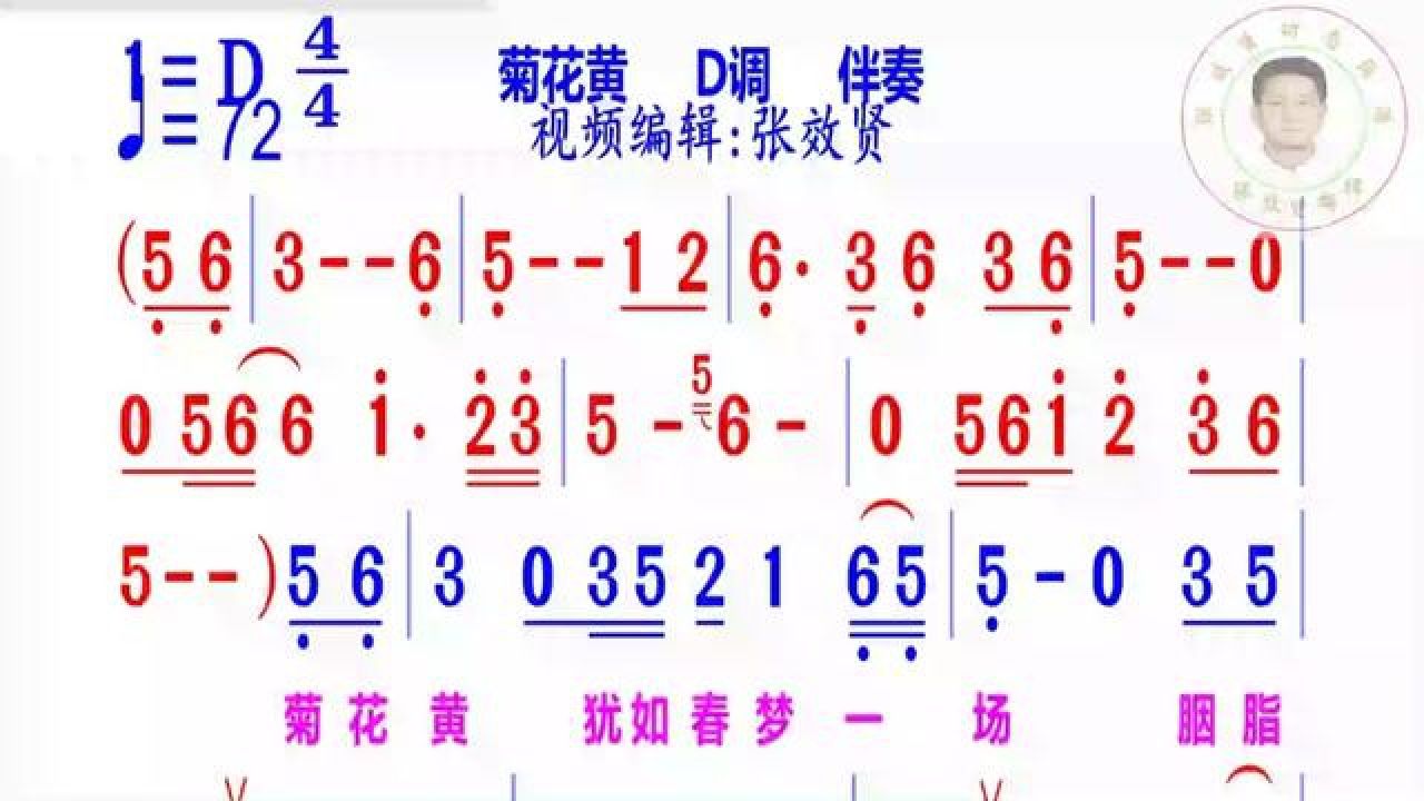 菊花黄简谱d调伴奏