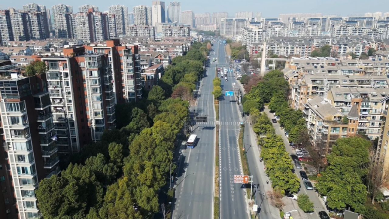 浙江杭州,上午10点30分,杭州市余杭区,令人惊讶的真实现状