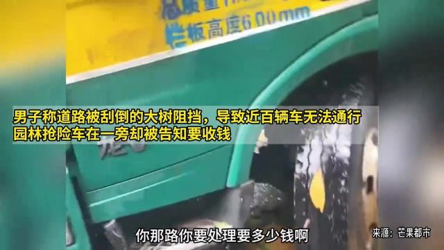 道路被刮倒的大树阻挡,导致近百辆车无法通行,园林抢险被要收钱