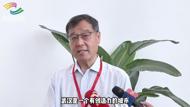 武汉经开区启动“跨境电商+汽车产业带”培育行动