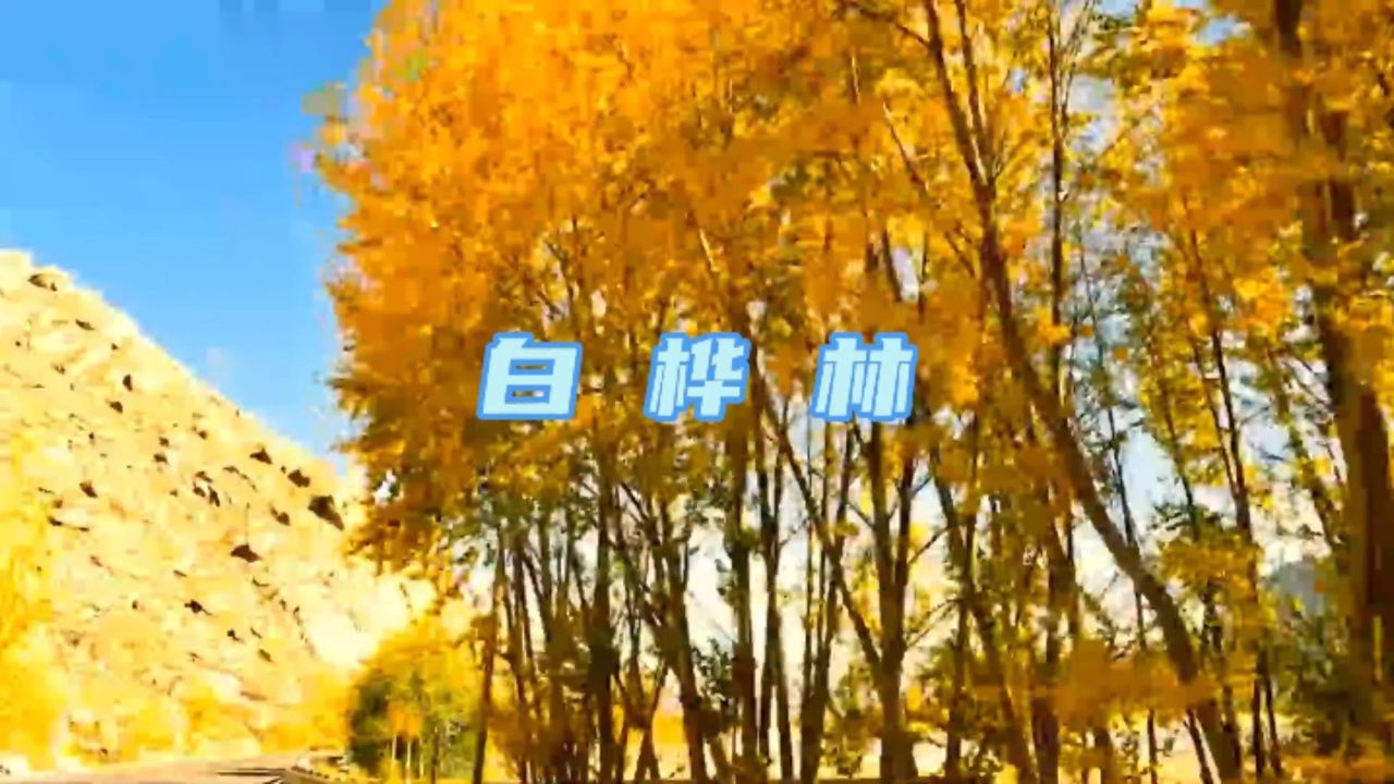 民谣精选 朴树《白桦林》音乐mv