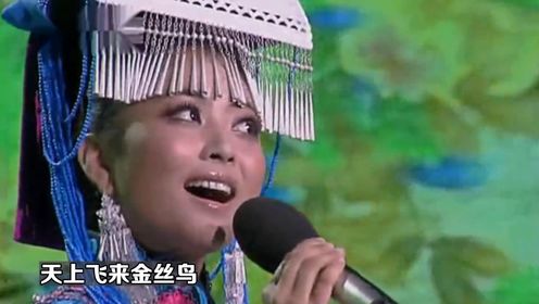 阿鲁阿卓演唱《情深谊长》，歌声甜美深情，听了神清气爽！