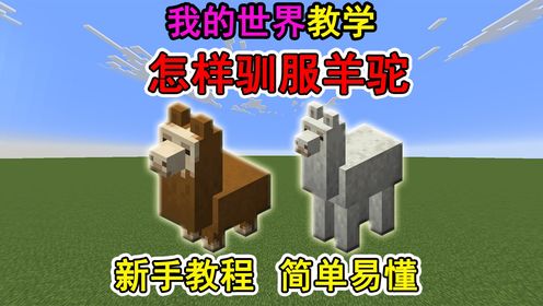 我的世界怎样驯服羊驼？一个视频教会你_高清1080P在线观看平台_腾讯视频
