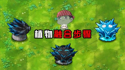 融合版：究极植物融合方法！小白必看