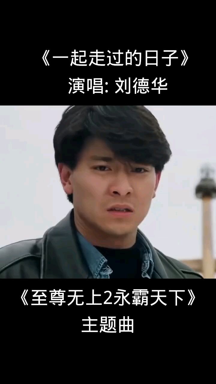 电影《至尊无上2之永霸天下》主题曲《一起走过的日子》刘德华演唱