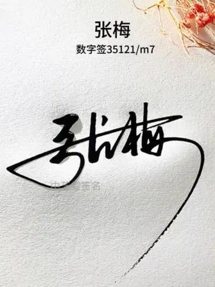 留名设计数字签 张梅,数字签,简单易懂,容易学会#签名设计 #私人制定