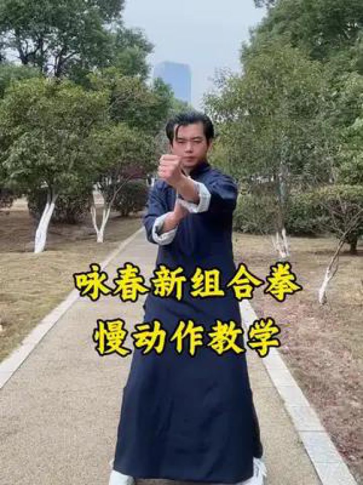 咏春新组合拳慢动作教学咏春新组合拳慢动作教学#咏春#咏春组合拳#咏春拳教学_高清1080P在线观看平台_腾讯视频