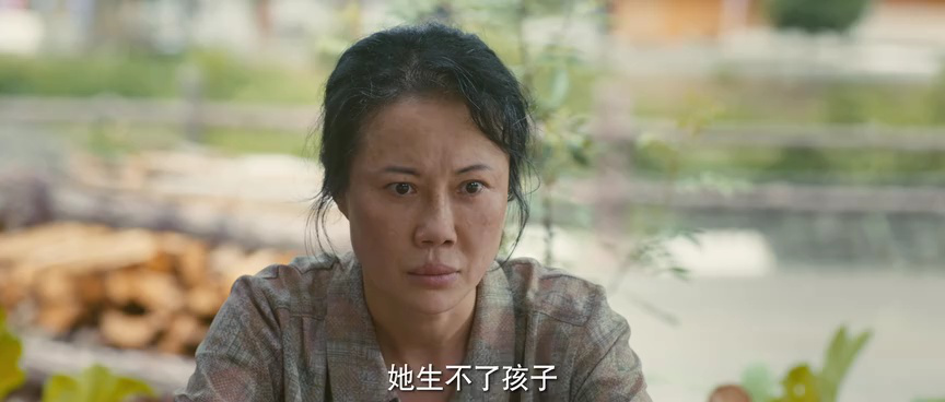 春风燃情 7集