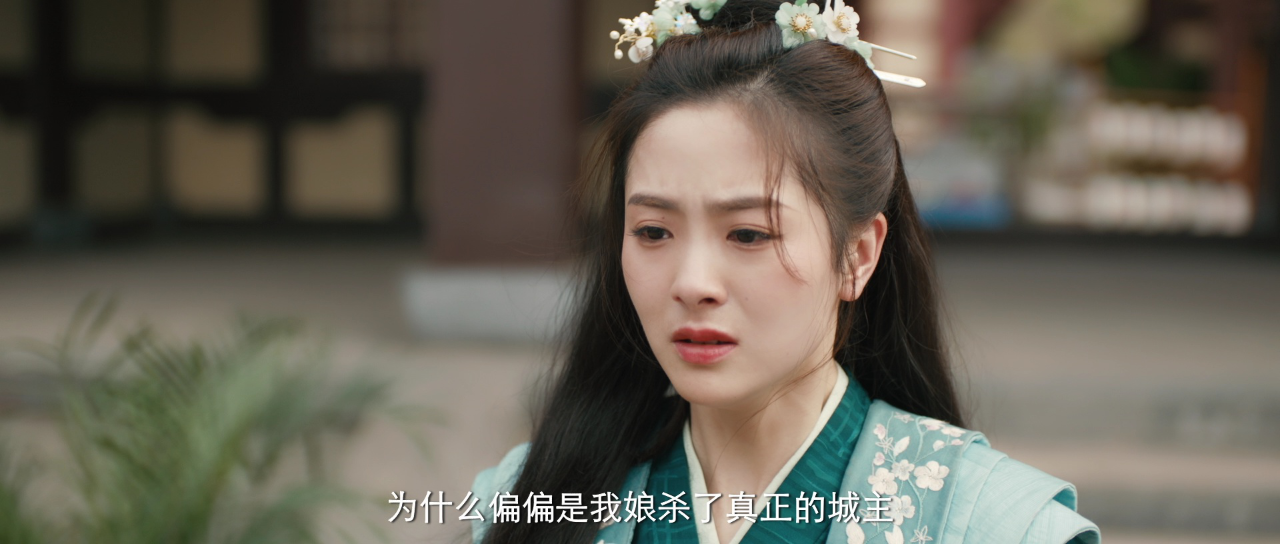 一日寨主一日官 21集