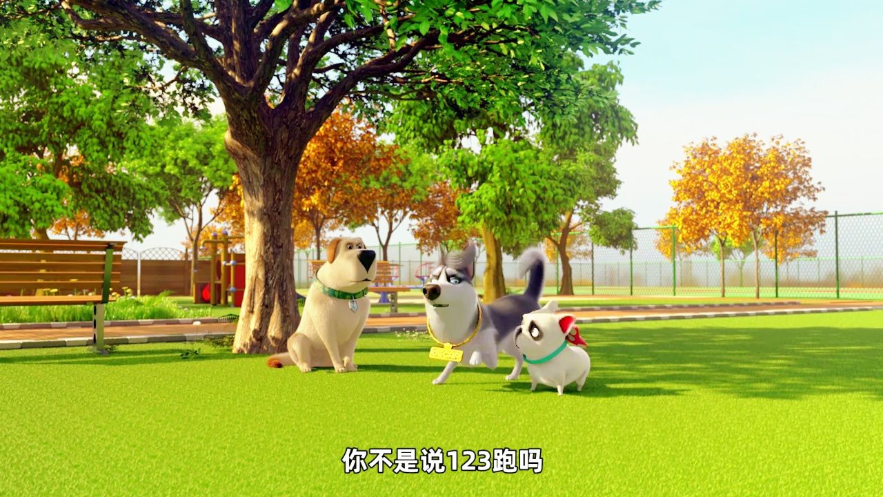 飞狗moco:赛跑