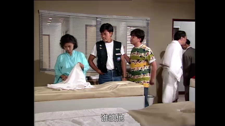 命运迷宫[普通话版] 3集