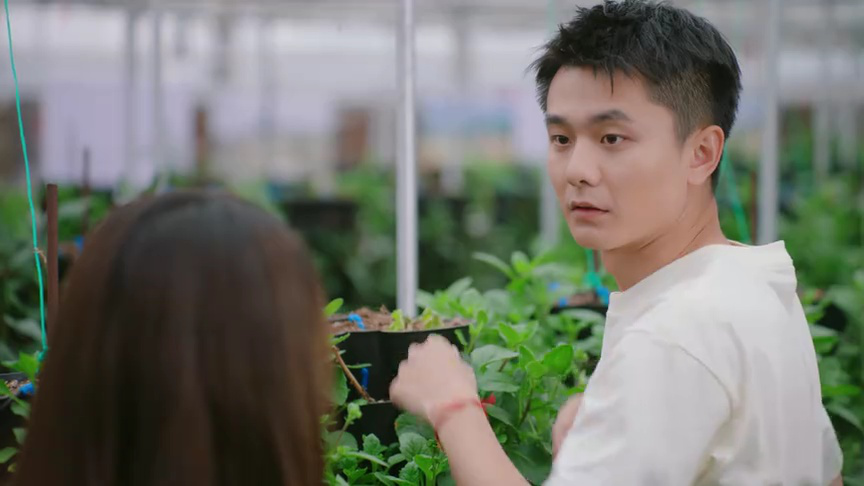 爱在炊烟袅袅时 15集