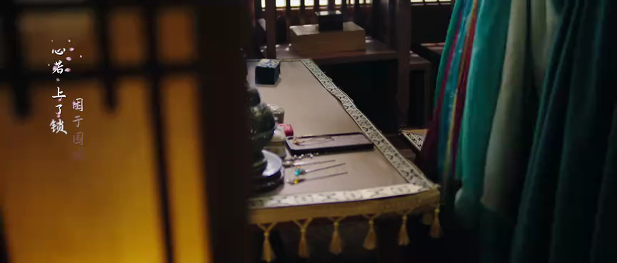 无主之花 11集
