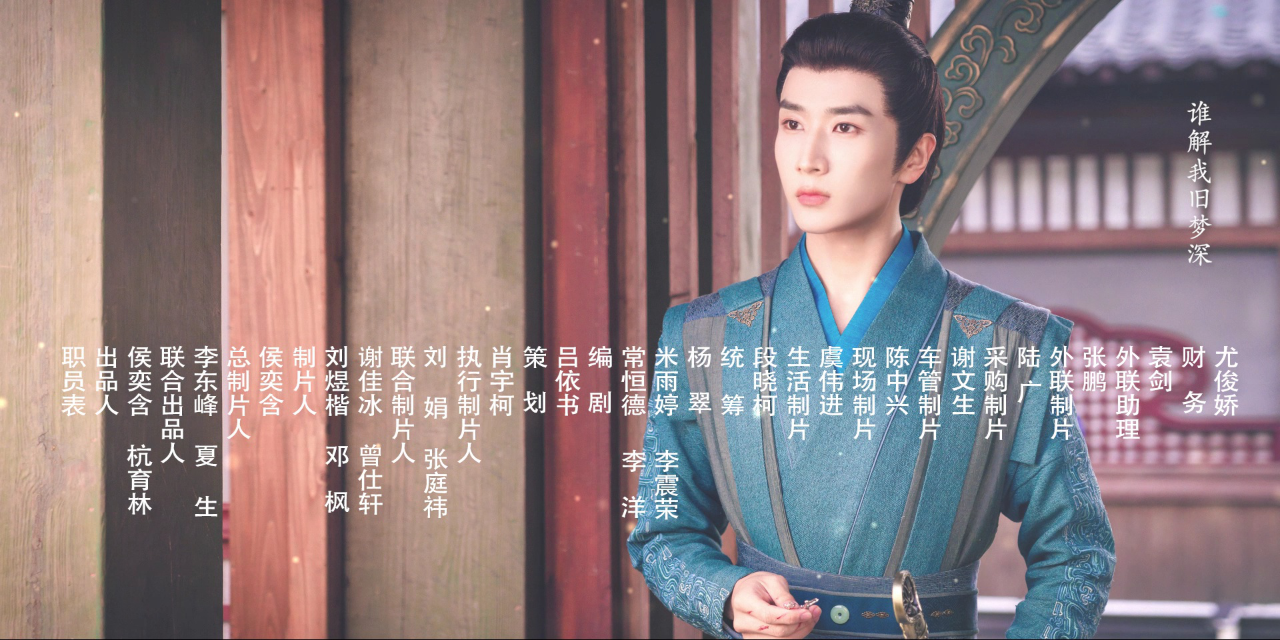 婢女 12集