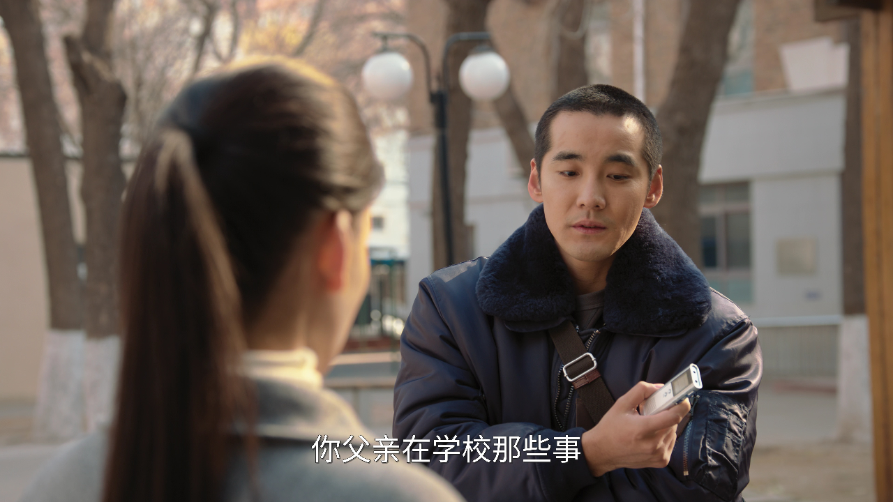 刑警的日子 20集