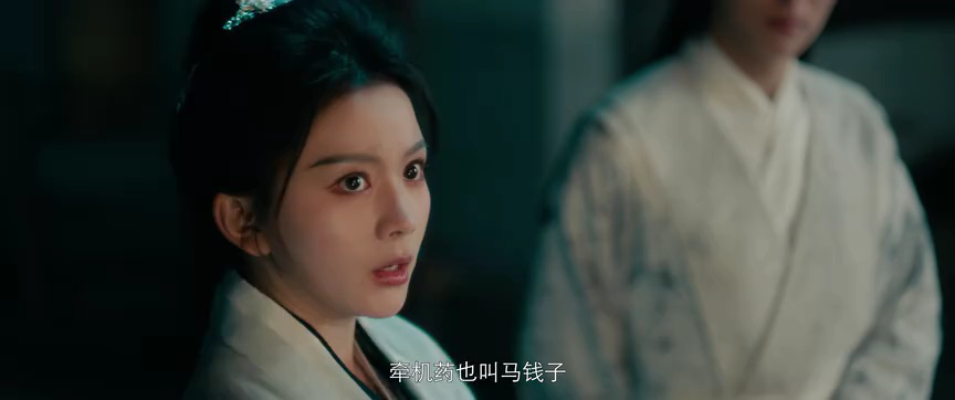 钦天奇谭 4集