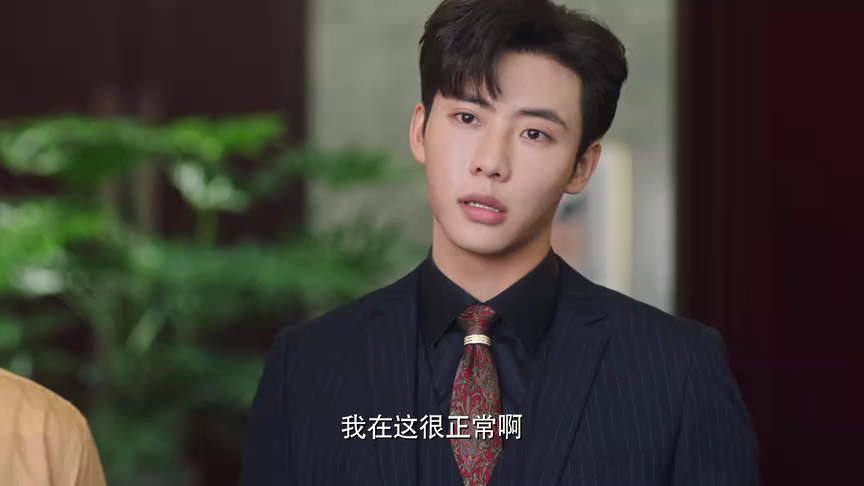 暮色心迹 13集
