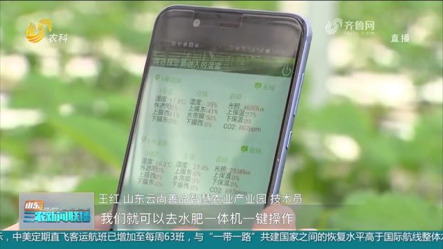 西岗镇推动数字化农业模式成型发展,为乡村振兴插上腾飞的\