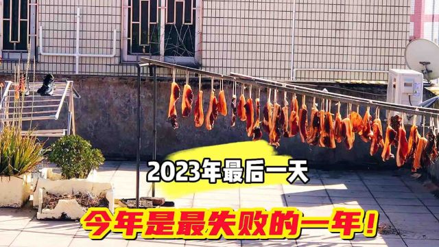 今天是2023年的最后一天,一年又过去了,今年应该没人比我活得更失败吧?