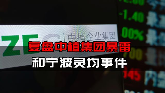 复盘中植集团暴雷和宁波灵均事件,资本市场监理走到哪一步?