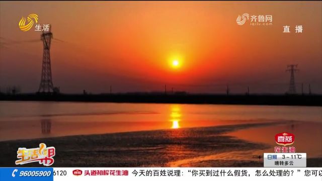 菏泽东明黄河滩:夕阳西下落日余晖,浮光跃金水天一色,美不胜收