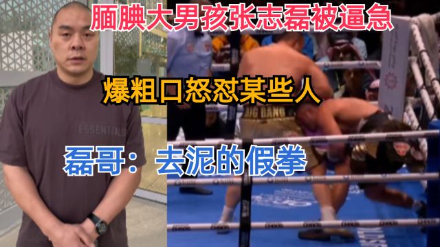 腼腆大男孩张志磊被逼急,爆粗口怒怼某些人,磊哥:去泥的假拳