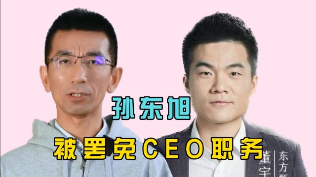 东方甄选免去孙东旭CEO职务,账号一夜掉粉260万,有的公司准备挖董宇辉