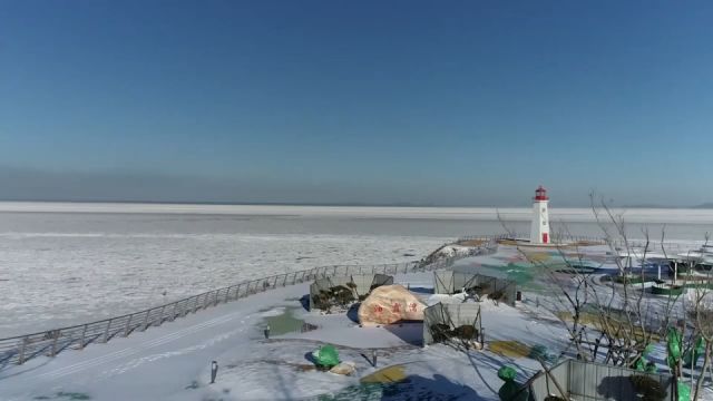 强寒潮下 渤海海域泊霞湾现大面积冰冻