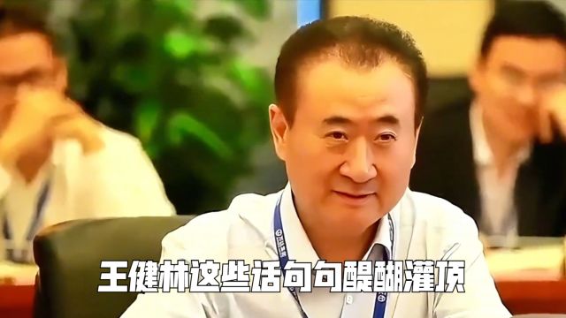 王健林这些话句句醍醐灌顶,本想干一个亿就退休,没想到亿发不可收拾