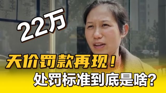 赚500元罚22万太多了!天价罚款单再现,处罚的标准是什么?小错为何要大惩!