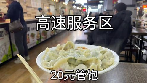 河南安阳高速服务区，水饺自助餐20一位，肉素随便吃，感觉真不错