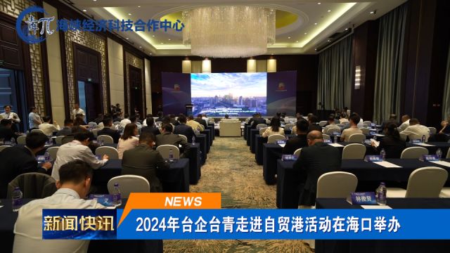 2024年台企台青走进自贸港活动在海口举办⠀