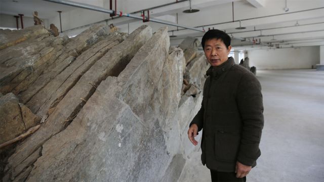 陕西紫阳:非遗传承人投6千万建茶厂,把一座山盖到了楼里